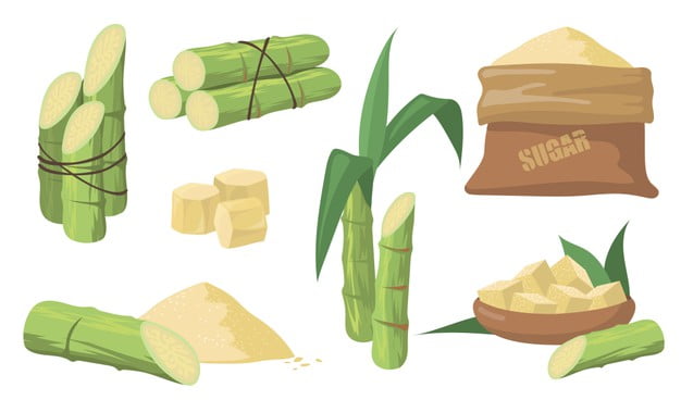 sugar stock market