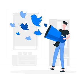 vector showing twitter flying